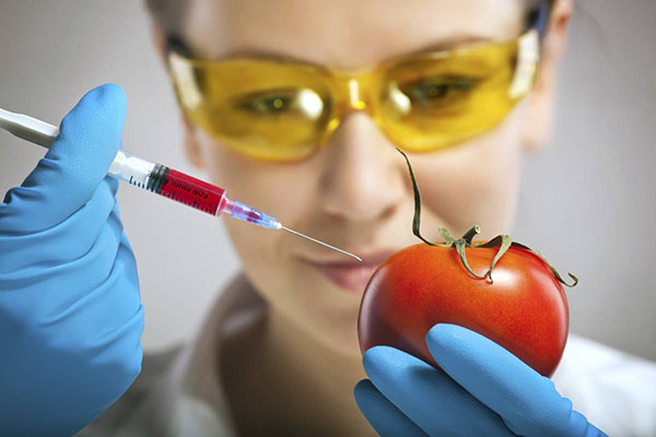 NON GMO Hakkında Bilgiler