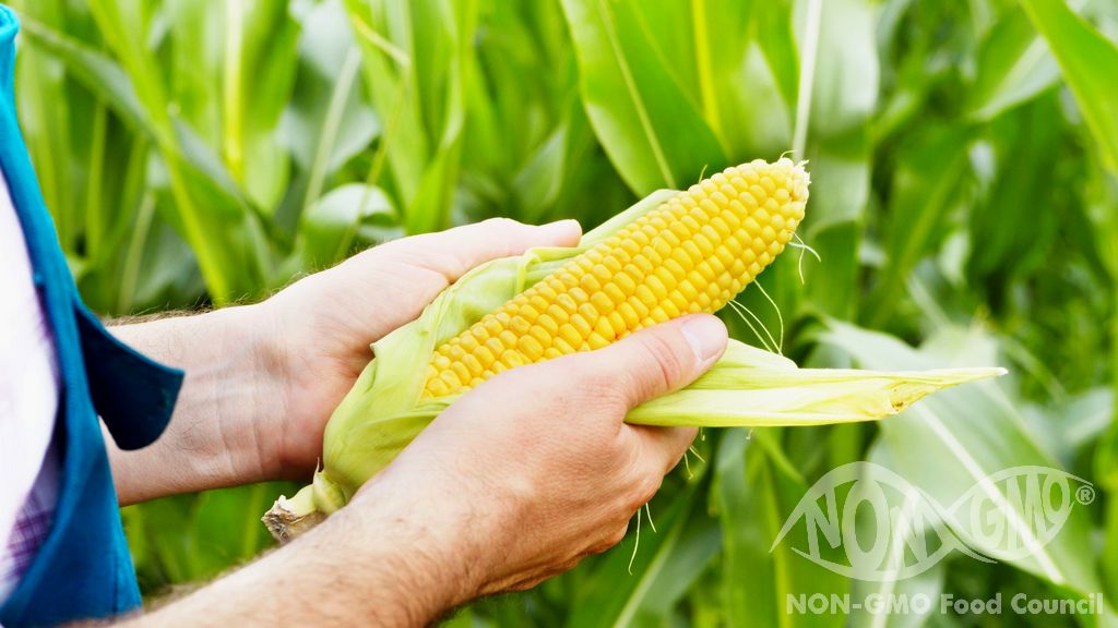 EU Parliament Directives on GMOs General Obligations