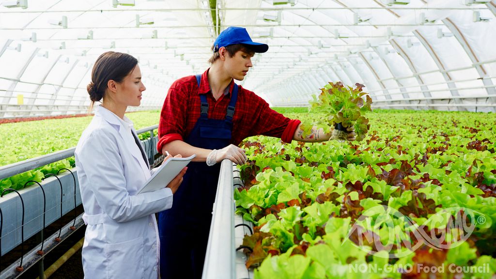 Mikä on GMO -testi?