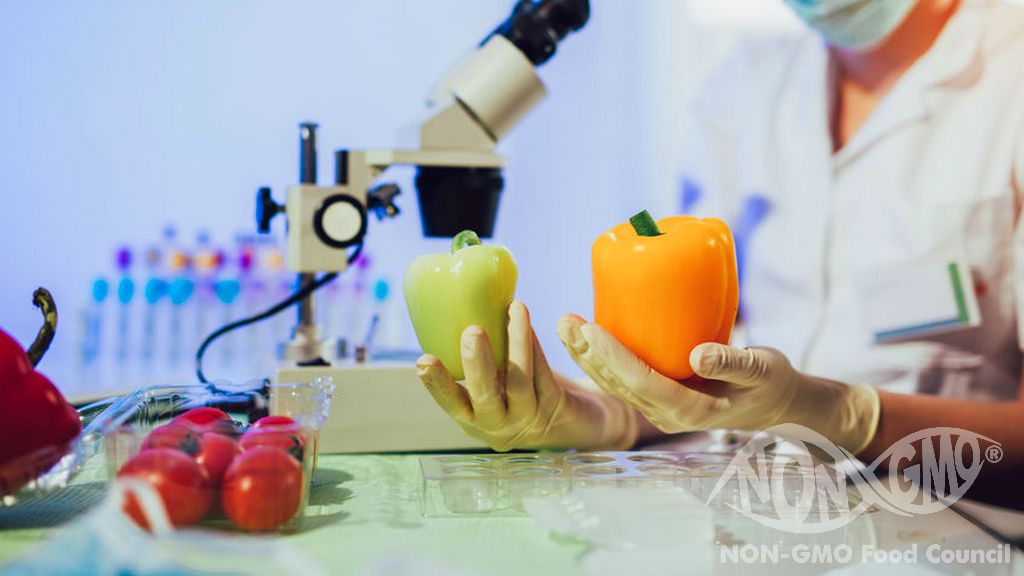 In Which Laboratories Are GMO Tests Performed?