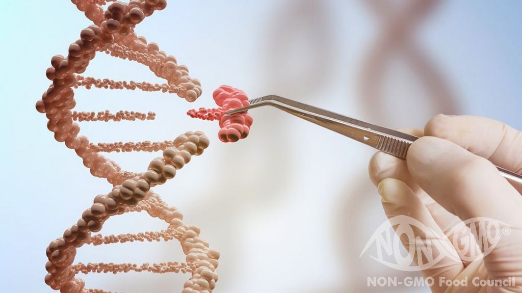 Gen Düzenleme Nedir?