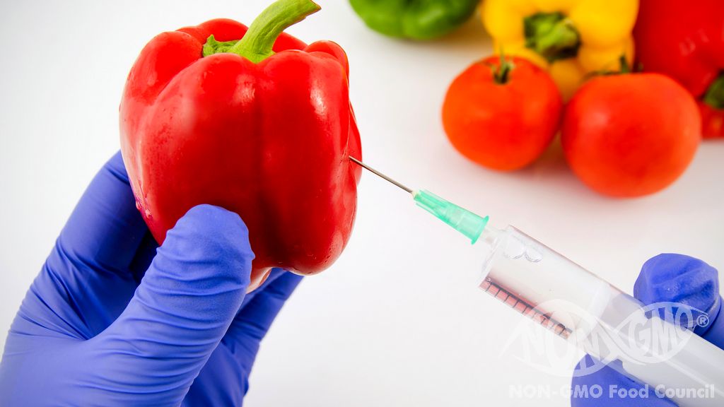 Pros and Cons of Genetically Modified Organisms (GMOs)