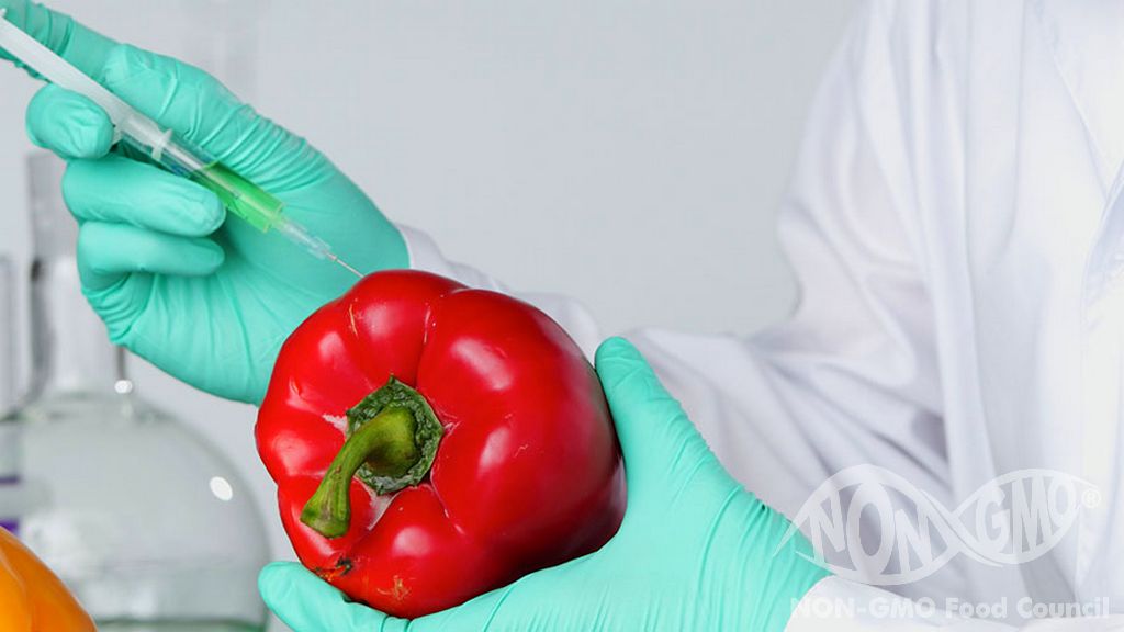 GMO'nun Dezavantajları