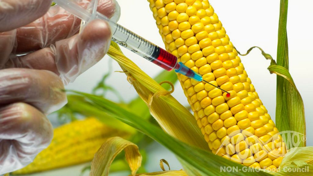 GMO and Gene Editing