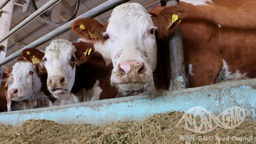 Hayvansal Kaynaklı Girdi ve İçerikler için Kriterler