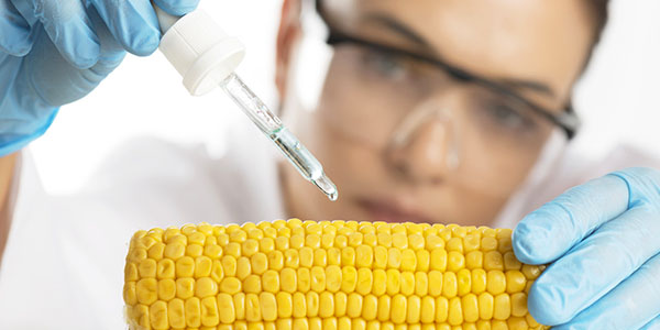 GMO Tests