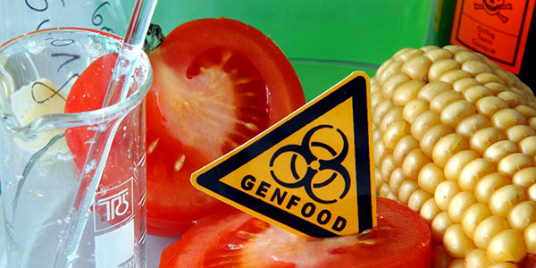 NON GMO-Zertifikat