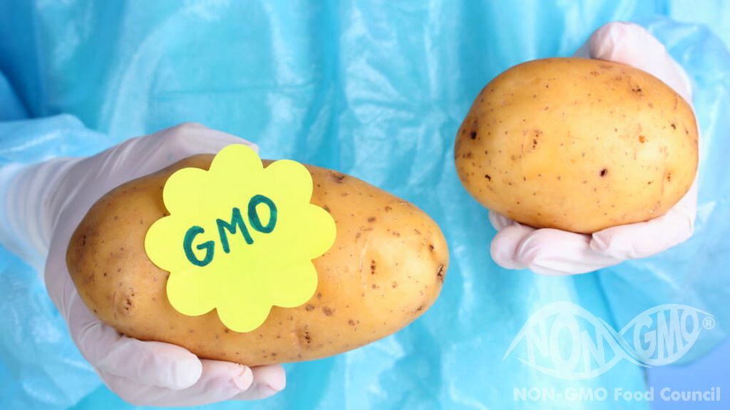 Mikä on ei -GMO -merkki?