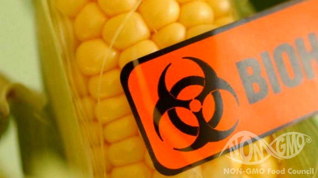 NON GMO-Risikogruppen