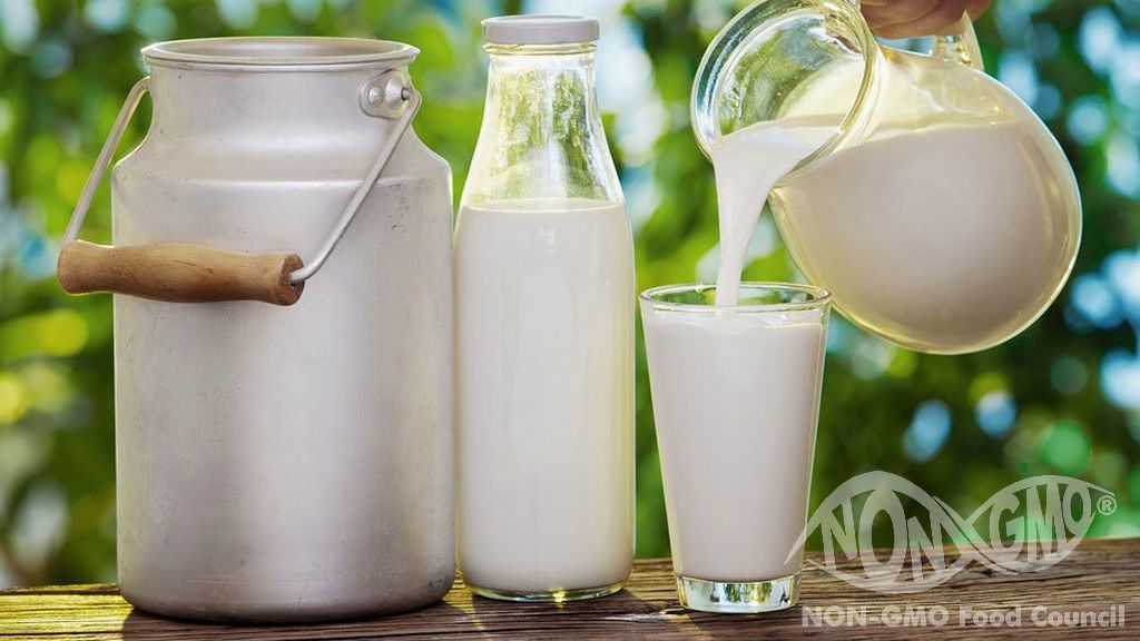 Ei -GMO -maito- ja maitotuotetodistus
