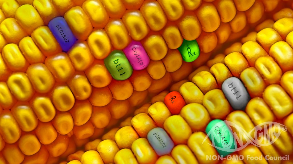EI GMO -tuotteiden todentamisohjeet
