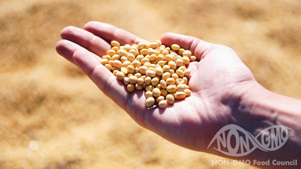 NON GMO Ürün Grupları