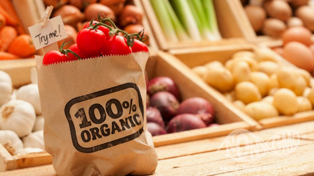Organik Gıdalar GDO'suz mu?