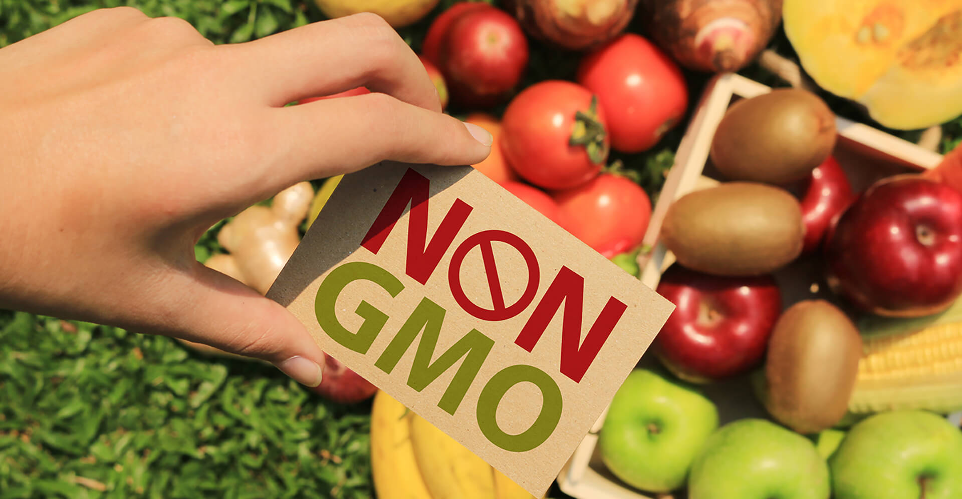 NON GMO Label