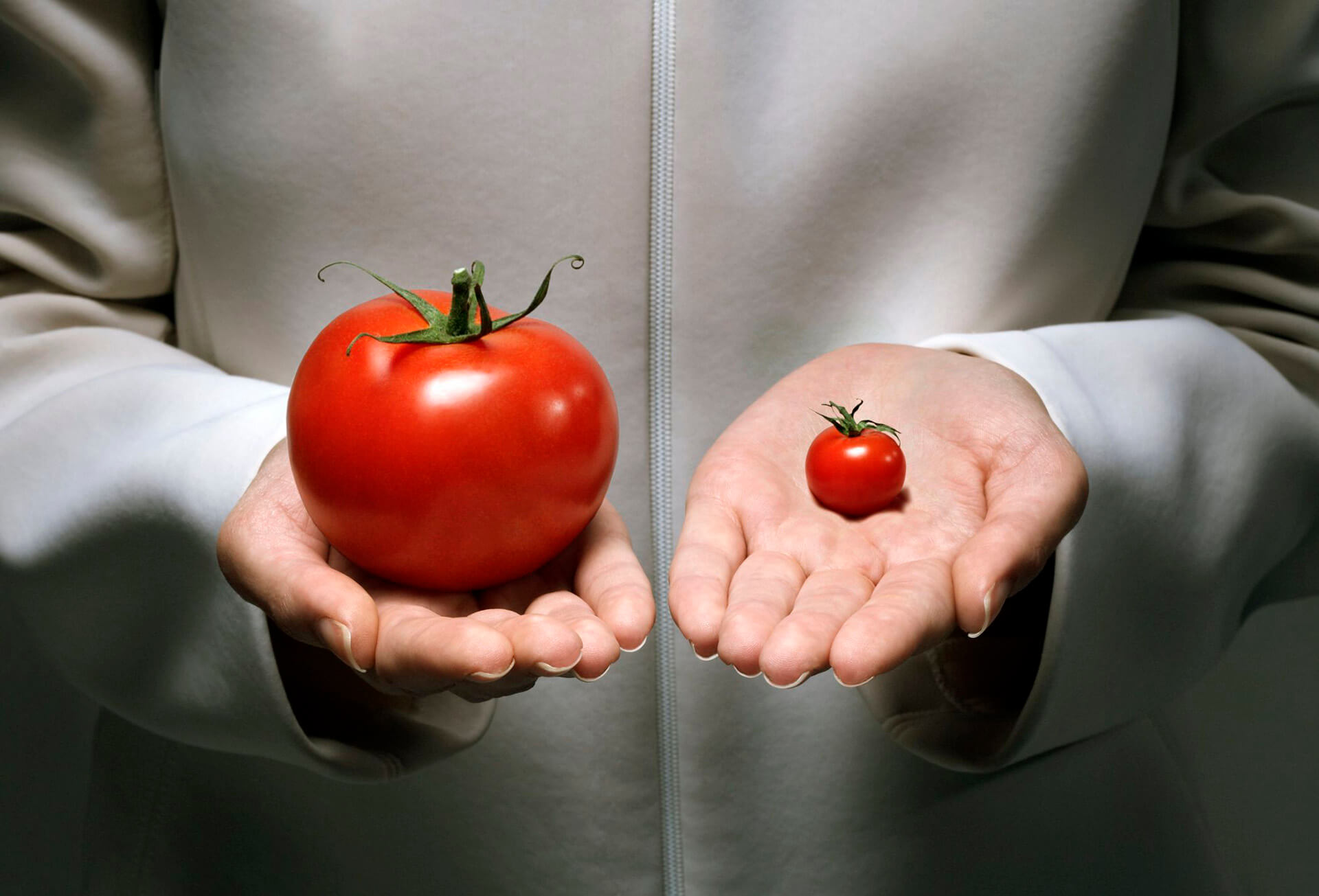 NON GMO Sertifikasyonu